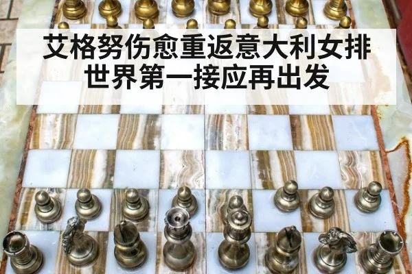 艾格努伤愈重返意大利女排世界第一接应再出发